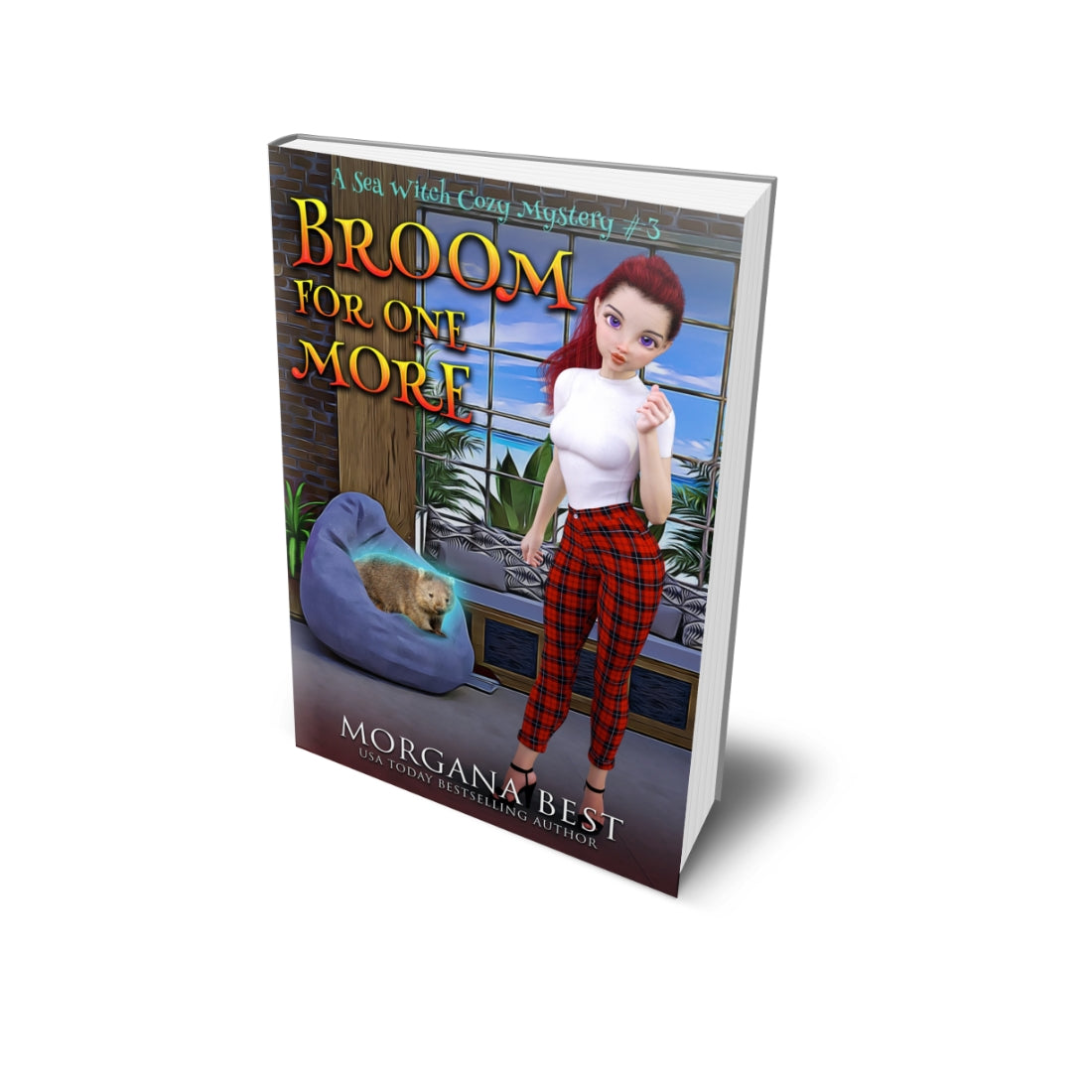 Broom For One More PAPERBACK cozy mystery