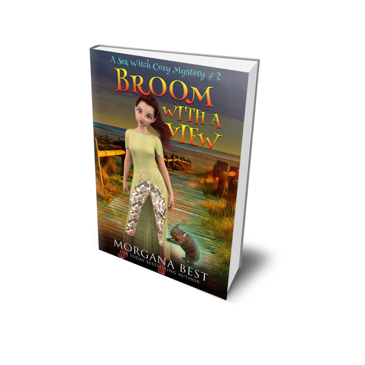 Broom With a View PAPERBACK cozy mystery with magical elements