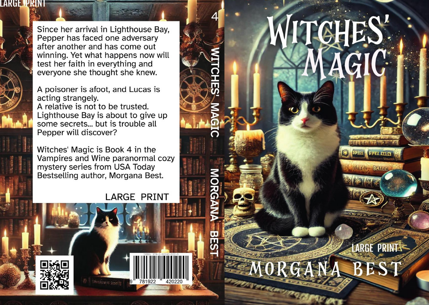 Witches Magic LARGE PRINT paperback books vampire mysteries