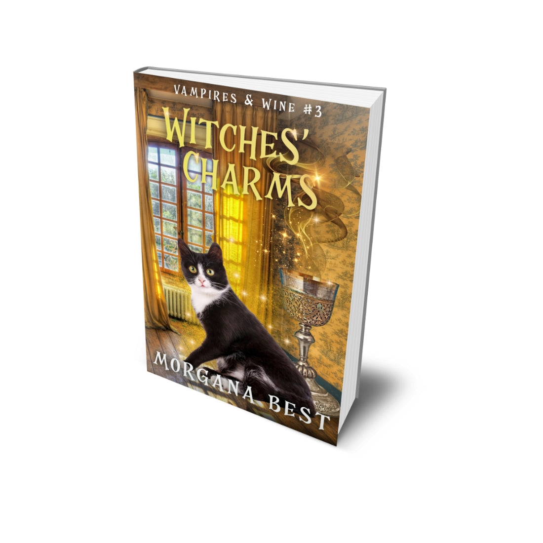 Witches Charms PAPERBACK cozy mystery