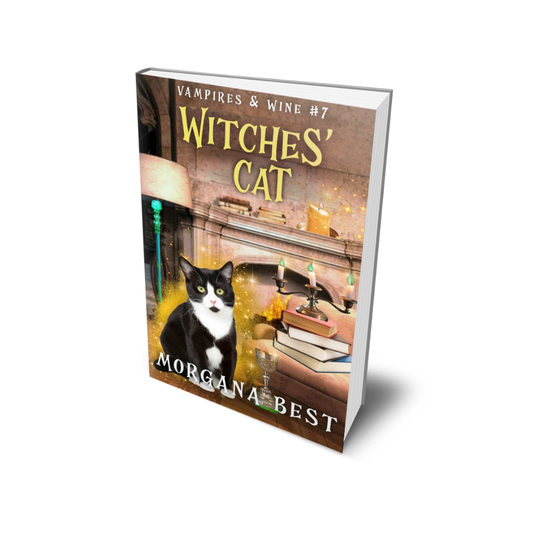 Witches’ Cat PAPERBACK cozy mystery