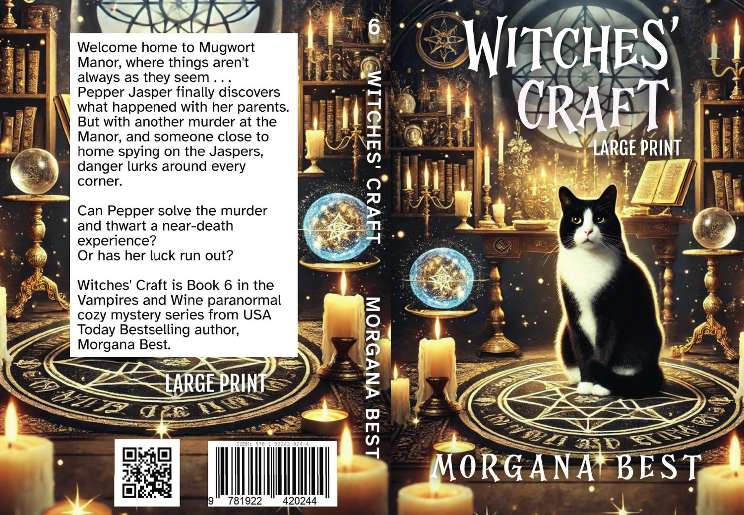 Witches' Craft LARGE PRINT Paperback cozy mystery