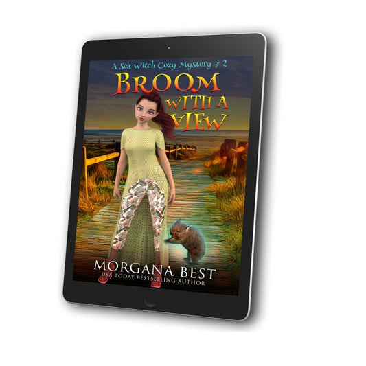 broom with a view paranormal cozy mystery morgana best